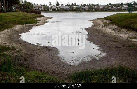 Wellington, en Floride, aux États-Unis. Apr 19, 2017. Un héron patauge dans un lac utilisé pour l'eau le paysage à bord de Wellington à Wellington, en Floride, la Communauté le 19 avril 2017. Les conditions de sécheresse dans la région de Palm Beach comté cette année ont abaissé le niveau du lac plusieurs pieds. Au cours de la sécheresse en 2011 la société de gestion considéré comme le forage de puits pour reconstituer le lac, mais aucune mesure n'a été prise. Credit : Allen Eyestone/Le Palm Beach Post/ZUMA/Alamy Fil Live News Banque D'Images