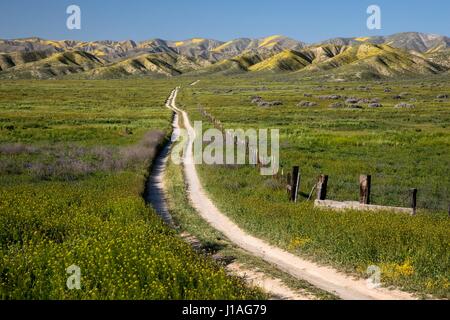 Carrizo Plain National Monument est l'un des secrets les mieux gardés de la Californie. Seulement quelques heures de Los Angeles, la plaine de Carrizo offre aux visiteurs une occasion rare d'être seul avec la nature. Certains visiteurs vous pouvez dire "entendre le silence." La plaine est le foyer de diverses communautés de la faune et de la flore dont plusieurs comme étant menacées ou en voie de disparition et c'est une région culturellement importants pour les Amérindiens. Ce Monument à distance, traversée par la faille de San Andreas qui a creusé des vallées, créé et déplacé des montagnes, et pourtant de près, se voit dans l'alignement subtil de crêtes, ravins Banque D'Images