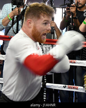 San Diego CA. Apr 19, 2017. L'ancien champion du monde Two-Division Canelo Alvarez établit pour les médias à San Diego, mercredi. 19 avril devant son week-end de Cinco de Mayo showdown contre l'ancien champion du monde des poids moyens WBC Julio Cesar Chavez Jr, La lutte est le samedi 6 mai. à la T-Mobile Arena et le super-fight seront produits et distribués en direct par la chaîne HBO Pay-Per-View.Photo par Gene Blevins/LA Daily News/ZumaPress. Credit : Gene Blevins/ZUMA/Alamy Fil Live News Banque D'Images