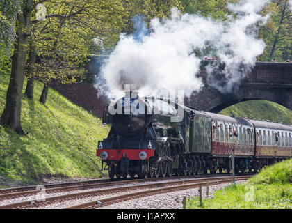 Horsted Keynes, West Sussex, UK. 19 avril 2017. The Flying Scotsman passe sous un pont sur le chemin du Sheffield Park à East Grinstead le long de la ligne de chemin de fer Bluebell à la fin d'une semaine sur le prêt du Musée National du chemin de fer. Entre mars et octobre de cette année, la locomotive à vapeur historique parcourt le pays dans le cadre de la 'Scotsman populaires sur les voies". Crédit : David Tomlinson/Alamy Live News Banque D'Images