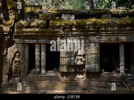 Certaines des nombreuses sculptures sur pierre qui ornent le ta prohm temple qui sont une partie de l'ensemble du temple d'Angkor Wat, Siem Reap, Cambodge. Banque D'Images