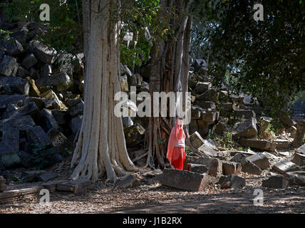 Un visiteur au temple Beng Mealea dans la période d'angkor wat situé à 40 km à l'est du principal groupe de temples à Angkor, Cambodge Banque D'Images