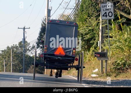 Vue de l'arrière d'une ancienne, Amish calèche comme il se déplace vers le bas une route de campagne moderne passé des fils électriques, téléphone p Banque D'Images