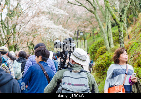 Nara, Japon - avril 11,2015 : mont Yoshino est la meilleure vue des cerisiers en fleur à Nara. De nombreux touristes à visiter et de prendre une photo Banque D'Images