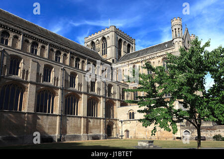 Vue d'été de la cathédrale de Peterborough Peterborough City, cloîtres, Cambridgeshire, Angleterre, RU Banque D'Images