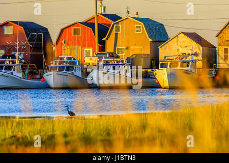 Malpeque Harbour dans l'Île du Prince Édouard, Canada Banque D'Images