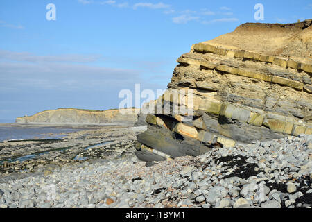 Lias, falaises de schiste & Kilve Beach, Somerset, Angleterre Banque D'Images