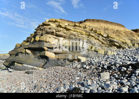 Lias, falaises de schiste & Kilve Beach, Somerset, Angleterre Banque D'Images