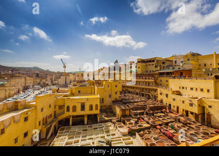 Le traitement traditionnel de tannerie à fes, Maroc Banque D'Images