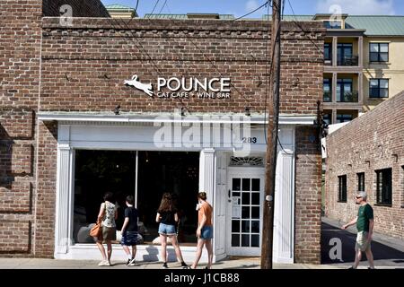 Pounce cat cafe and Wine bar Charleston, Caroline du Sud Banque D'Images