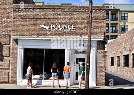 Pounce cat cafe and Wine bar Charleston, Caroline du Sud Banque D'Images