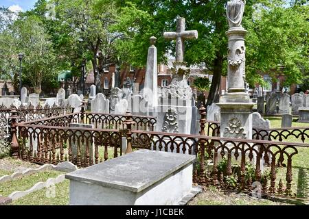 Charleston, Caroline du Sud jardin du souvenir avec cimetière envahi par la Banque D'Images