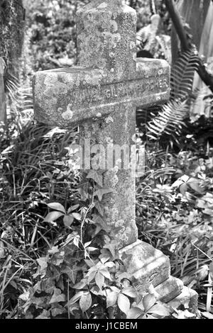 Charleston, Caroline du Sud jardin du souvenir avec cimetière envahi par la Banque D'Images