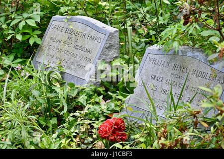 Charleston, Caroline du Sud jardin du souvenir avec cimetière envahi par la Banque D'Images