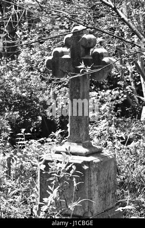 Charleston, Caroline du Sud jardin du souvenir avec cimetière envahi par la Banque D'Images