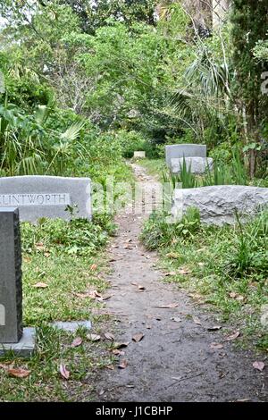 Charleston, Caroline du Sud jardin du souvenir avec cimetière envahi par la Banque D'Images