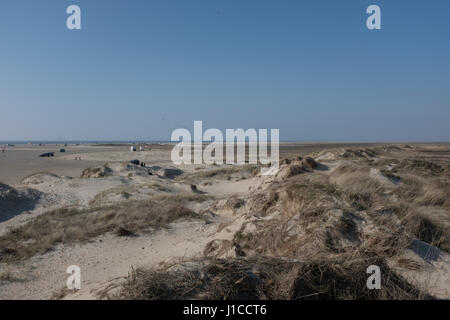Dunes de sable et sur la plage, une île danoise dans l'UNESCO a désigné site du patrimoine mondial - La mer des Wadden, qui est le plus grand parc naturel du Danemark. Banque D'Images