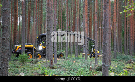 JAMSA, FINLANDE - septembre 1, 2016 : les récoltes de l'opérateur avec la forêt jeune Roi Scorpion Ponsse dans une démonstration de travail sur la machinerie lourde Banque D'Images