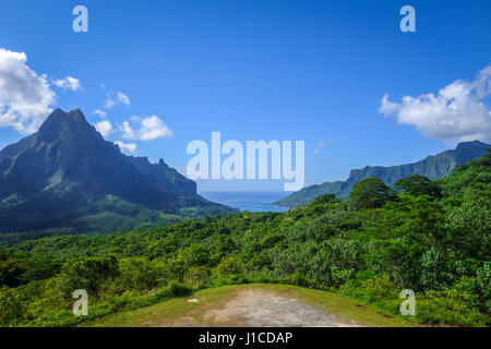 Vue aérienne d'Opunohu, baie de Cook et la lagune en l'île de Moorea. Polynésie Française Banque D'Images
