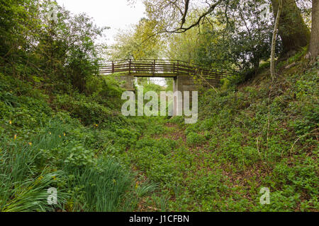 La voie abandonnée du Tramway à Chirk Glyn Valley qui une fois réparé les carrières de pierre dans la vallée et 12 a été fermée en 1935 Banque D'Images