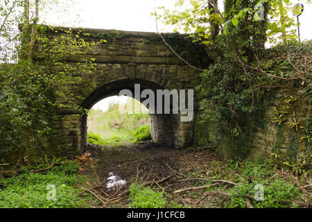 La voie abandonnée du Tramway à Chirk Glyn Valley qui une fois réparé les carrières de pierre dans la vallée et 12 a été fermée en 1935 Banque D'Images