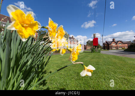 Village de Barton, en Angleterre. Vue de printemps Barton Road, dans le pittoresque village de Cheshire de Barton. Banque D'Images