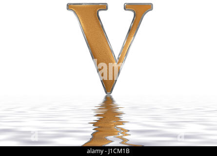 Le chiffre romain V, quinque, 5, cinq, reflétée sur la surface de l'eau, isolé sur blanc, 3D render Banque D'Images