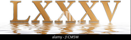 Le chiffre romain LXXXV, quinque et octoginta, 85, 85 personnes, qui se reflète sur la surface de l'eau, isolé sur blanc, 3D render Banque D'Images