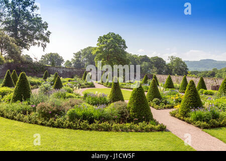 Les frontières herbacées colorées dans le coin supérieur jardin clos à Aberglasney House and Gardens, Llangathen, Carmarthenshire, Pays de Galles, Royaume-Uni Banque D'Images