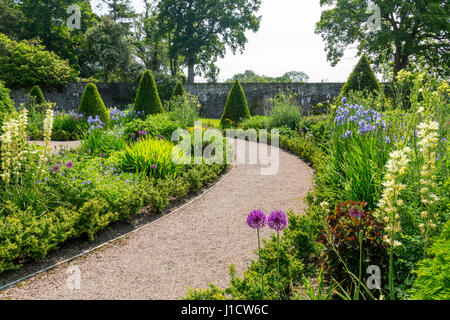 Les frontières herbacées colorées dans le coin supérieur jardin clos à Aberglasney House and Gardens, Llangathen, Carmarthenshire, Pays de Galles, Royaume-Uni Banque D'Images