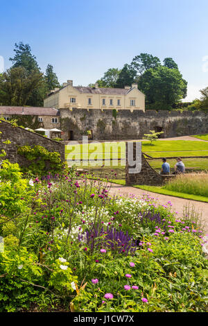 Une frontière herbacées colorées à Aberglasney House and Gardens, Llangathen, Carmarthenshire, Pays de Galles, Royaume-Uni Banque D'Images