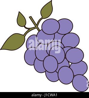 Silhouette de couleur claire de grappe de raisins Illustration de Vecteur