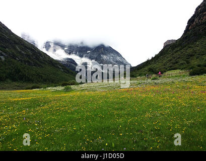 Luorong Ferme de Daocheng County, Sichuan Province, China Banque D'Images