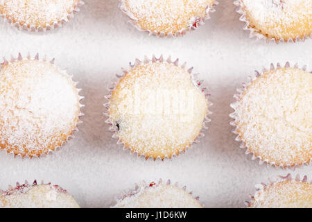 Voir le détail haut de muffin maison on white plate Banque D'Images