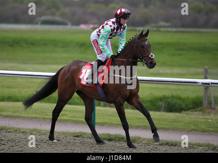 Train d'acier monté par jockey Shelley Birkett aller à poster avant l'Sunbets All-Weather Mile Stakes Conditions Championnats Banque D'Images