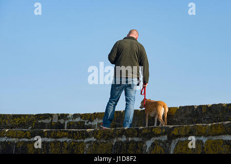 L'homme prend son chien pour une promenade le long du mur du port au port de Charlestown, Cornwall, UK 18/04/2017 Banque D'Images