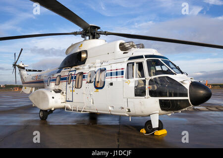 TORREJON, ESPAGNE - OCT 11, 2014 : l'armée de l'air espagnole comme532 Cougar Hélicoptère VIP. Banque D'Images