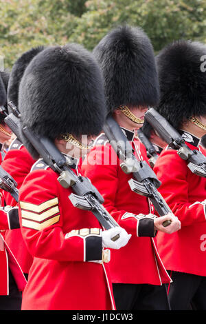 Londres - Jul 1, 2015 : la garde royale britannique d'effectuer la relève de la garde à Buckingham Palace. La cérémonie est une des principales attractions dans la région de Lo Banque D'Images