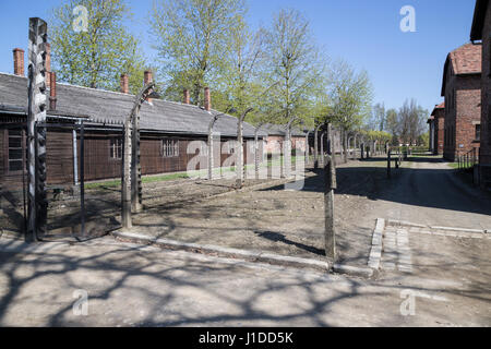 Blocs de cellules, des barbelés et des clôtures électriques dans le camp d'Auschwitz, Pologne Banque D'Images
