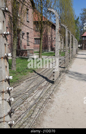 Clôture électrique et barbelés au camp de concentration d'Auschwitz Banque D'Images