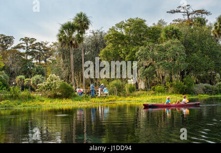 Silver Springs Florida L'une des plus anciennes attractions touristiques avec des kayaks et des gens sur le pont, les ruisseaux, les lacs, les animaux et de lieu de détente pour les visiteurs Banque D'Images