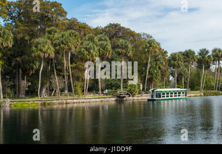 Silver Springs Florida L'une des plus anciennes attractions touristiques avec des bateaux à fond de verre et les ruisseaux, les lacs, les animaux et lieu de détente pour les visiteurs Banque D'Images