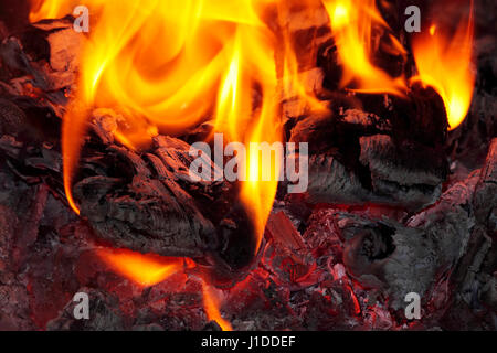 Le Bonfire close up avec des flammes, la chaleur et le frêne rouge Banque D'Images