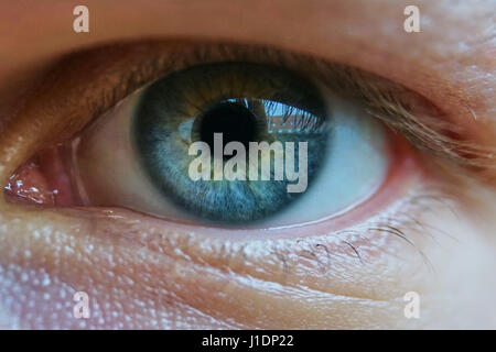 Close up of a mans yeux bleus, extrem macro. Réflexion d'un en Cisjordanie et dans l'œil. Banque D'Images