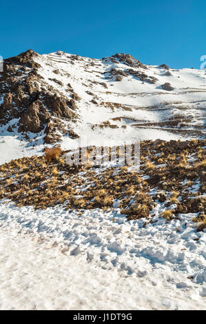 Los Penitentes est une station de ski près de Mendoza en Argentine Banque D'Images