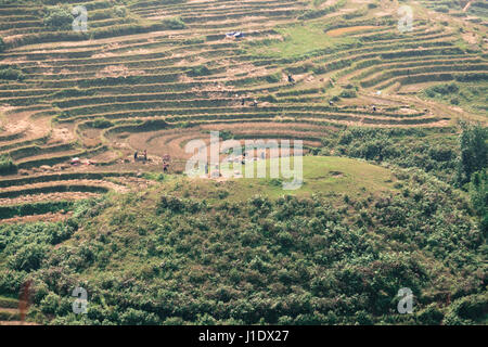 Les agriculteurs travaillant dans les rizières en terrasses de Sa Pa (SAPA) dans le nord du Vietnam, Asie du sud-est Banque D'Images