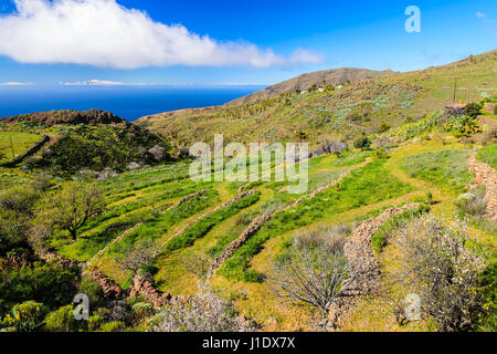 Green Mountain Valley dans la saison du printemps sur l'île de La Gomera, Espagne Banque D'Images