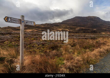 Une vue de la sentier entre Bwlch Tyddiad et Pistyll Gwyn (marches romaines) au sommet du Rhinog Fawr Banque D'Images