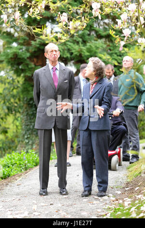 Son Altesse Royale le duc de Kent maintenant âgée de 81 ans visite le vaste jardin à Hergest Croft en Kington Herefordshire UK. Apr 20, 2017. Montré ici avec Elizabeth Banks propriétaire des jardins. Crédit : Steven Mai/Alamy Live News Banque D'Images