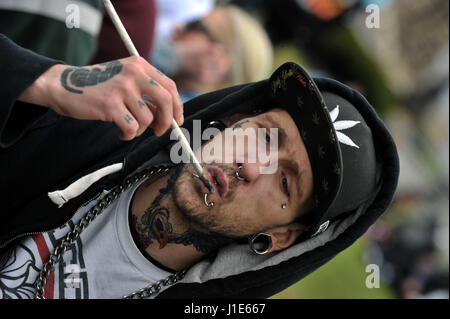 Ottawa, Canada. Apr 20, 2017. Canada, Ottawa, le 20 avril 2017, la fumée de la marijuana sur la Colline du Parlement à Ottawa pour célébrer la Journée internationale pour le cannabis sur la Colline du Parlement à Ottawa, Canada le 20 avril 2017. Crédit photo : KADRI Mohamed : imagespic/Alamy Live News Banque D'Images